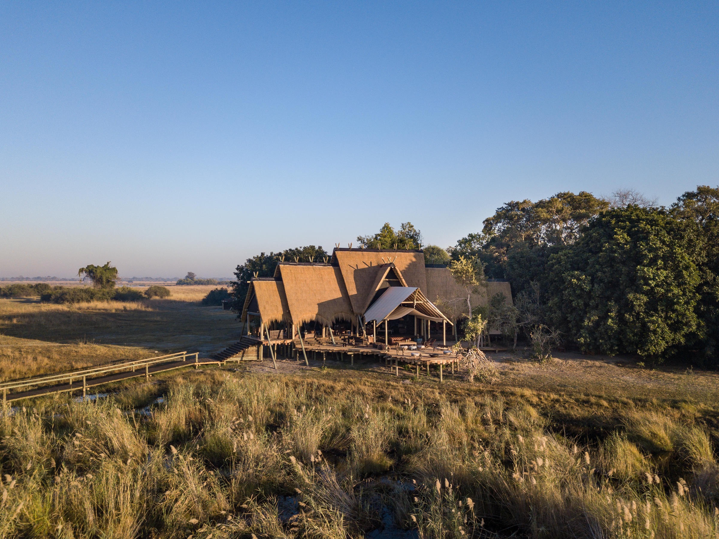 Selinda Camp